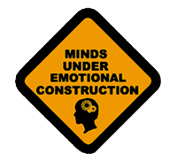 Minds under emotional construction, Emotional Intelligence Institute (EII)